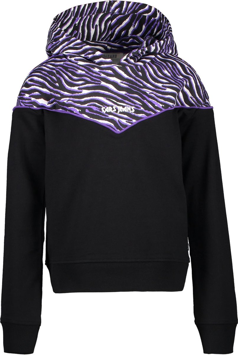 Trui, Sweatshirt, Capuchon, Jas, Trui, Sweatshirt, Capuchon, Jas