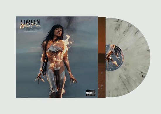 vinyl, lp, album, plaat, grammofoonplaat