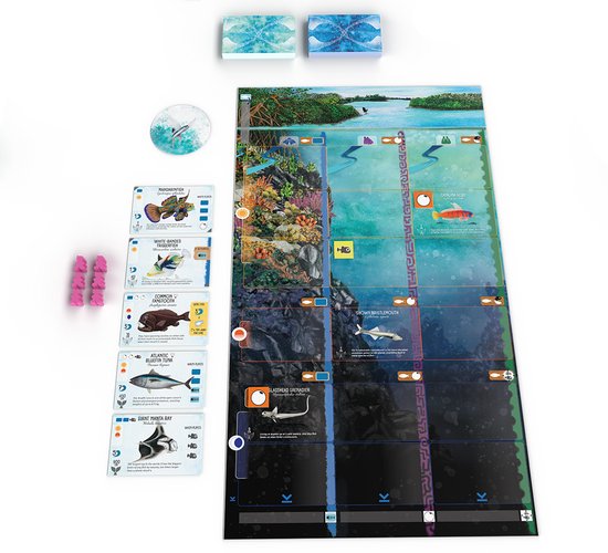 999 Games - Finspan - Bordspel - Prachtig vormgegeven - Ook voor 1 speler - Gezelschapsspel