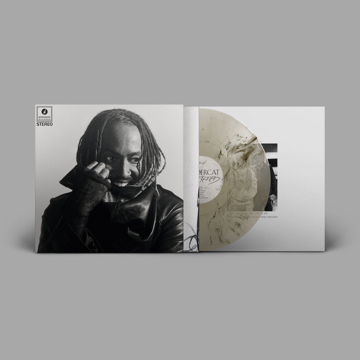 vinyl, vinyl record, album, zwart-wit, groove muziek