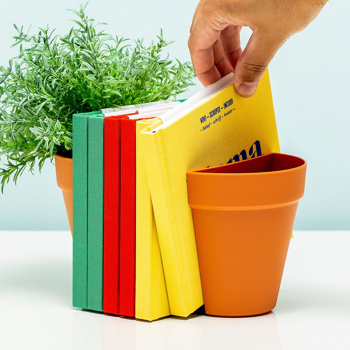 Boek, Publicatie, Kruiden, Plant, Potplant, Boek, Publicatie, Kruiden, Plant, Potplant