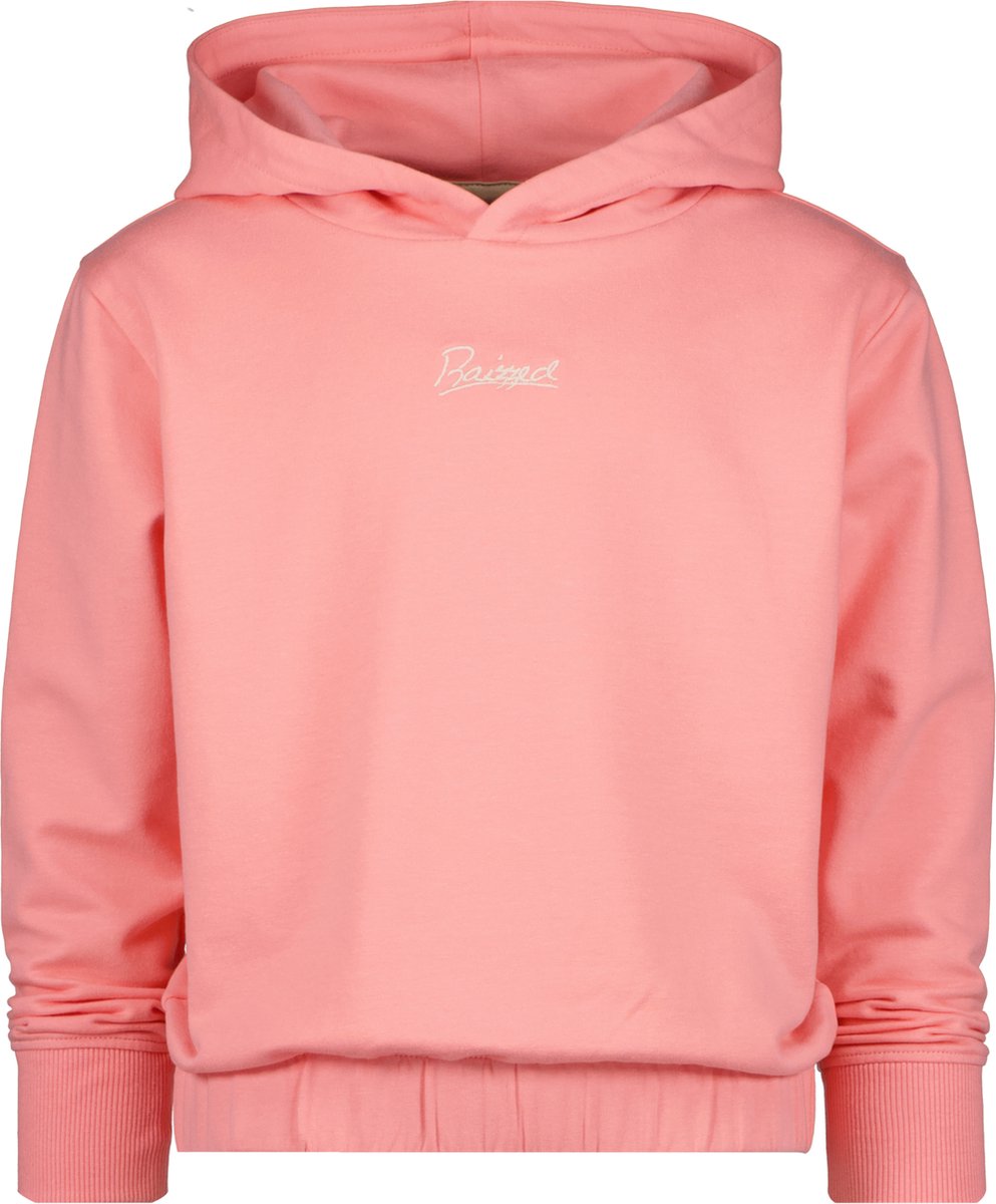 Breigoed, Trui, Sweatshirt, Capuchon