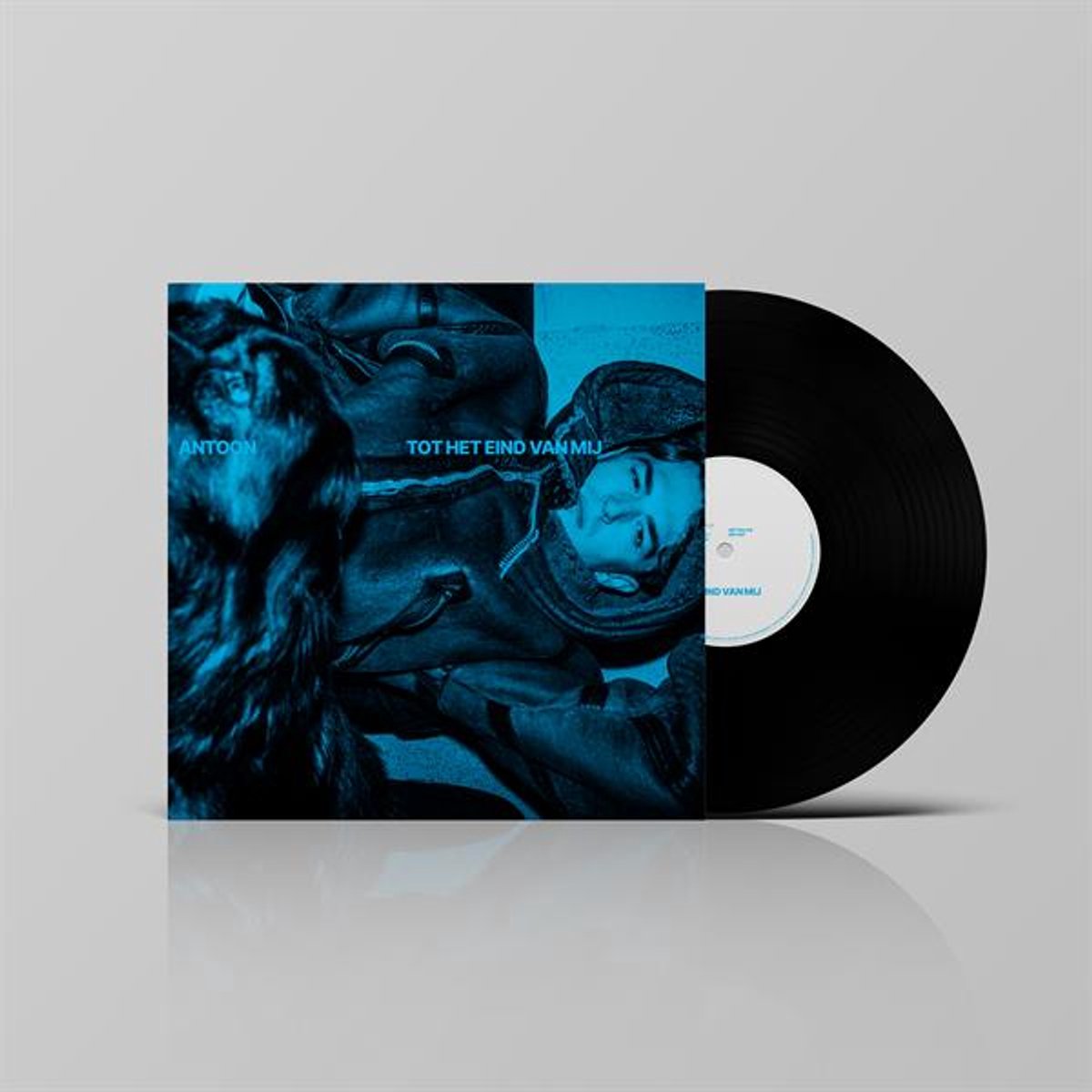 vinyl, lp, plaat, vinylplaat, album