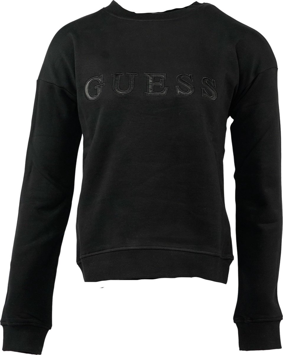 Trui, Sweatshirt, Lange mouwen, Capuchon, Fleece