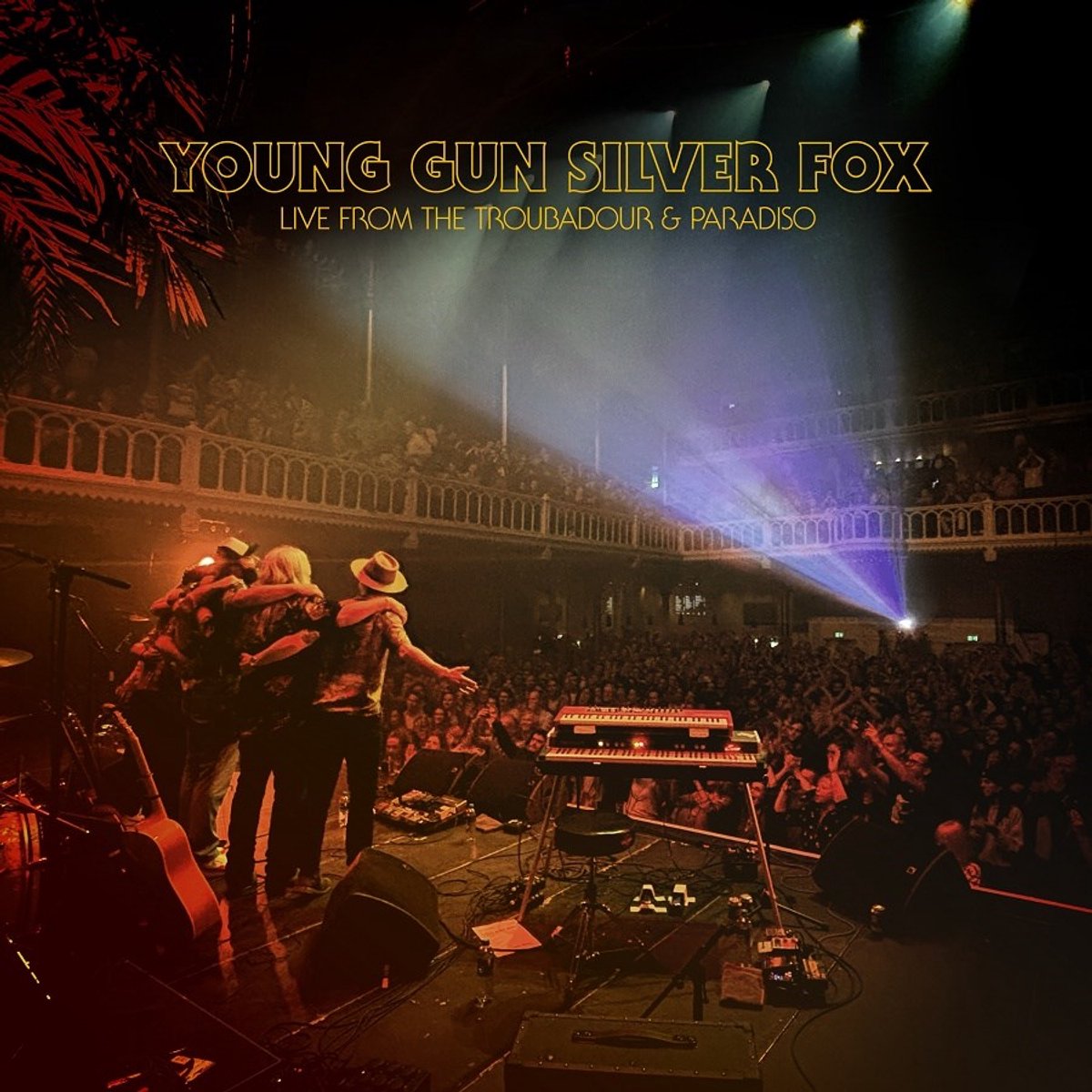live concert, band on stage, keyboard, guitar, crowd