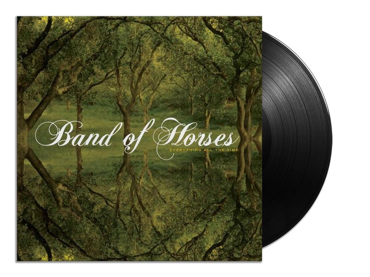 vinyl, plaat, LP, gramofoon, band