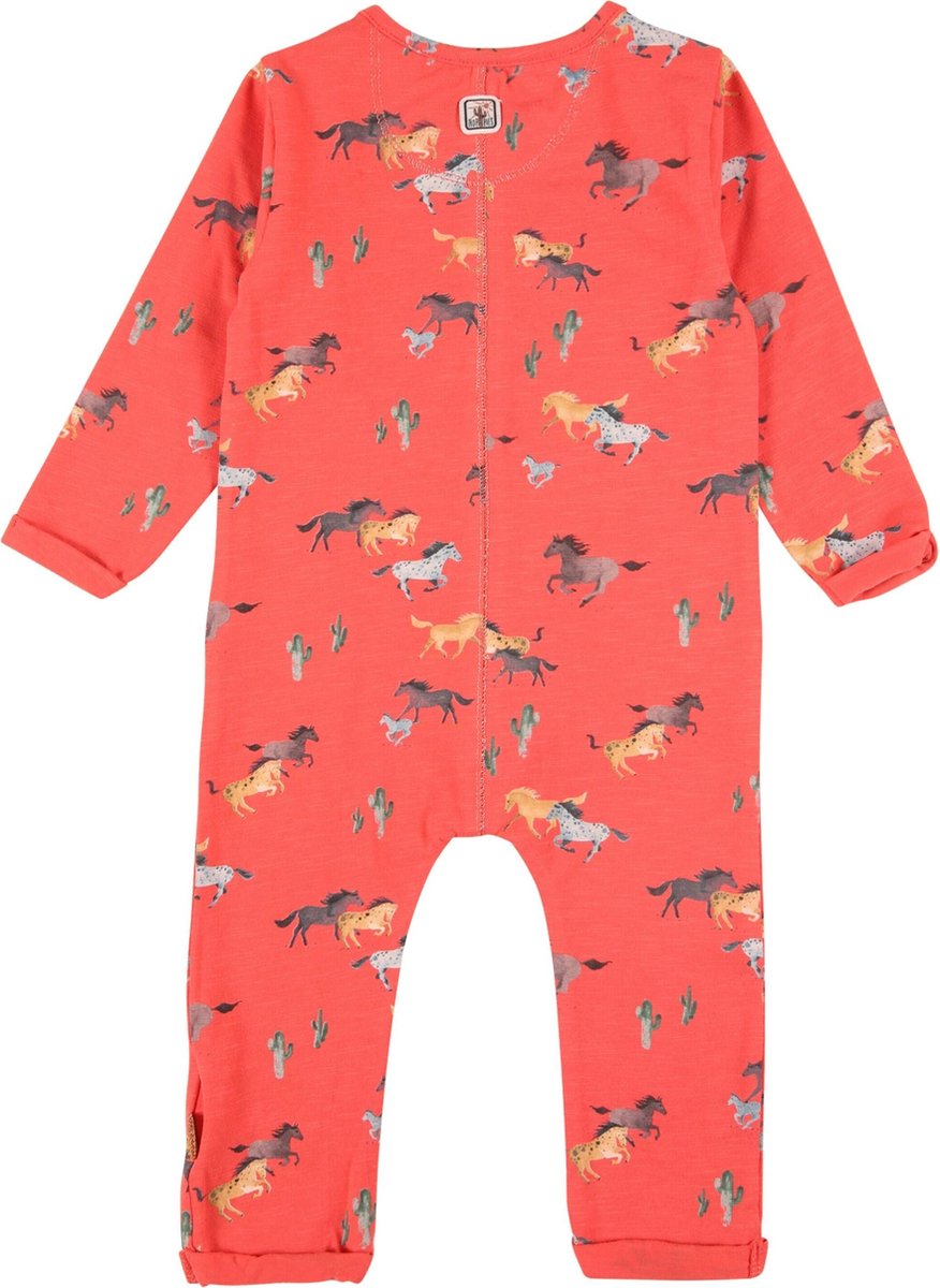 Noppies Maat 80 Rompertje Moxa Baby