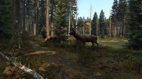 DayZ - PS4