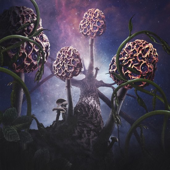Blut aus nord - Hallucinogen - LP