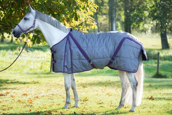 Kerbl Paardendeken Indoor - Grijs/paars - 135 cm