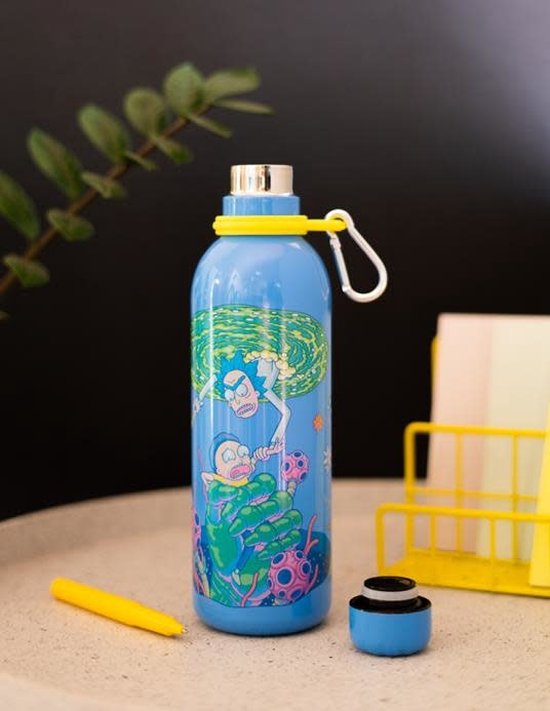 Grupo Erik Drinkfles Rick And Morty 500 Ml 7 X 25 Cm Rvs Blauw