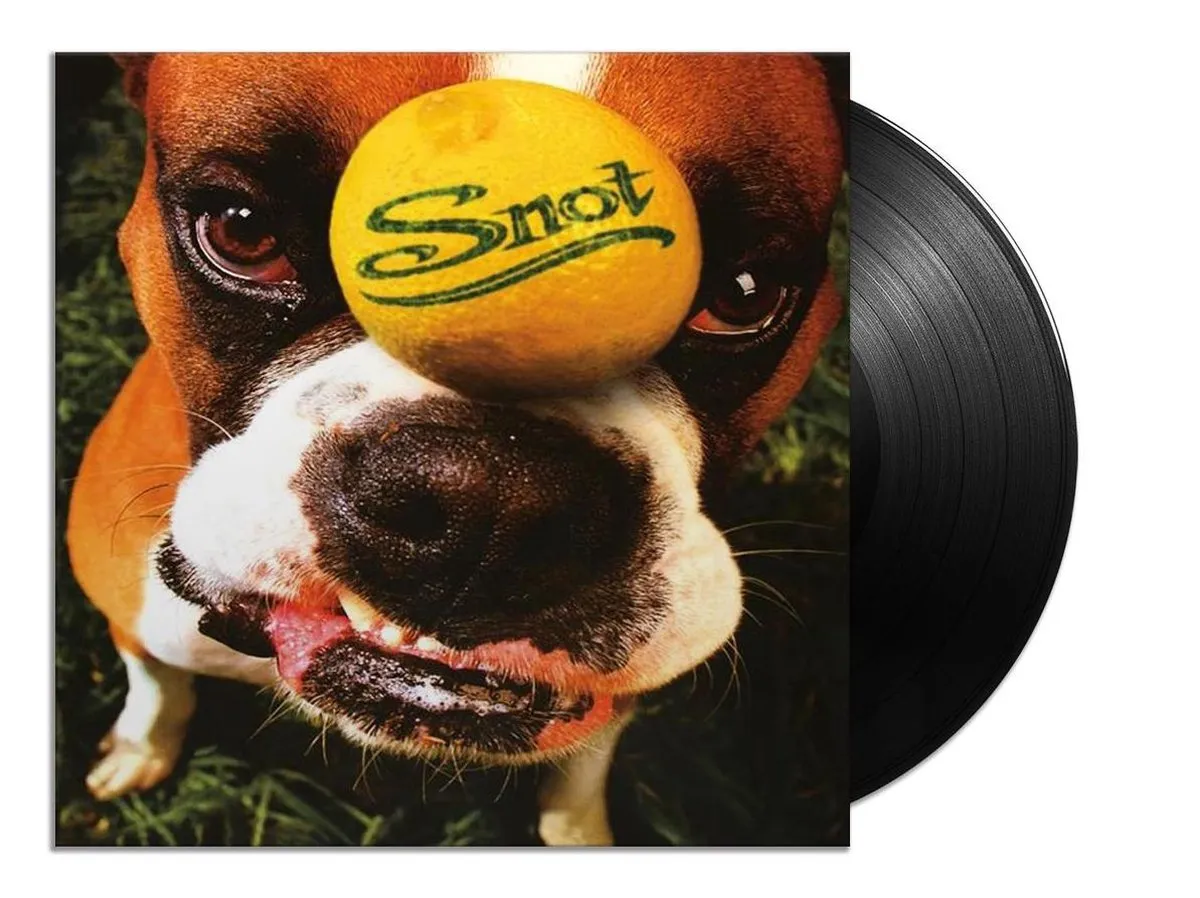 dog, bal, puppy, bone, vinyl
