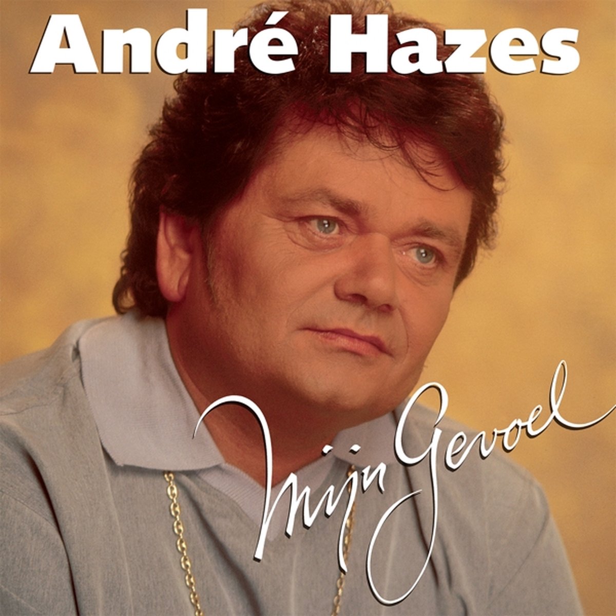 Andre Hazes - Mijn Gevoel (LP)