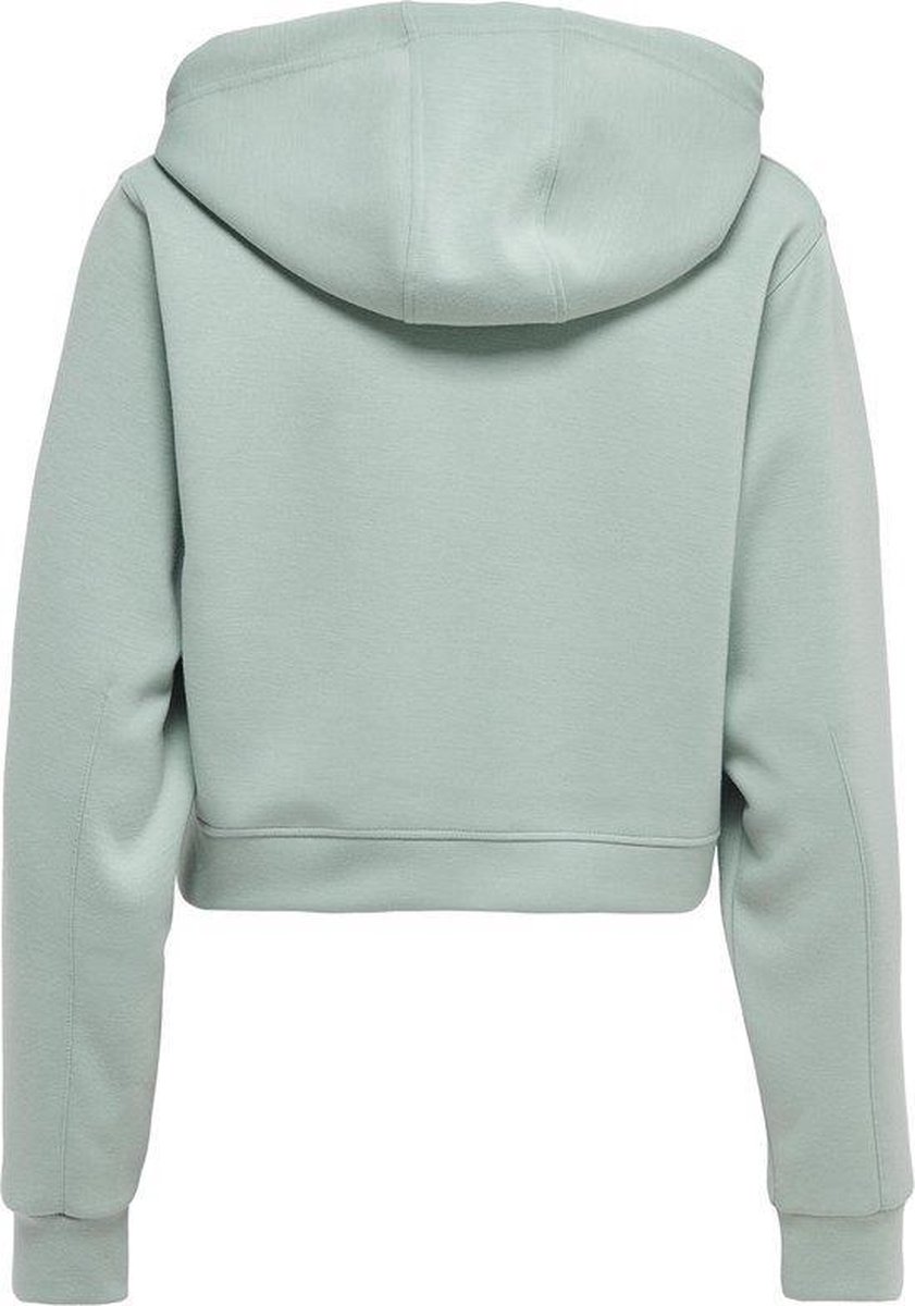Only Play - Maat L - ONPDESS CROPPED HOOD SWEAT Dames Sporttrui