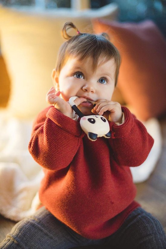 Lanco - Rubberen bijtring Kori de Panda