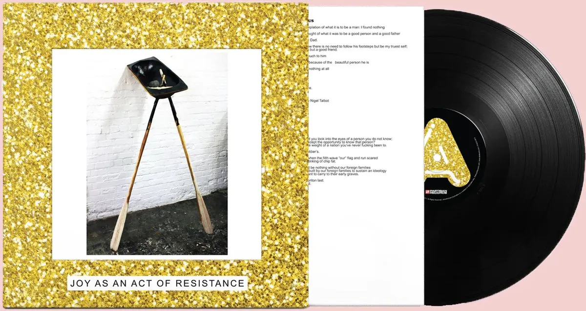 plaat, vinyl, plaathoes, glitter, foto-artikel
