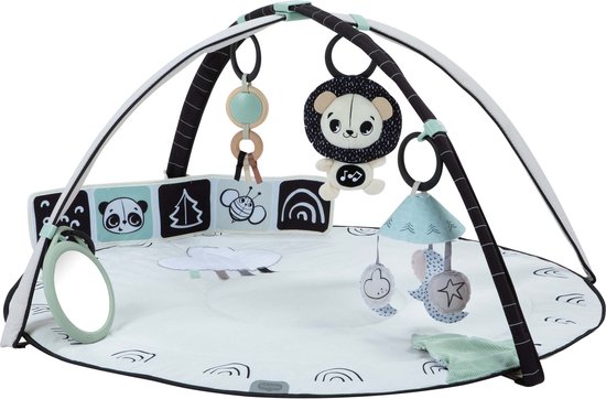 Tiny Love Classic Gymini - 2-in-1 Black & White Décor - Vanaf de geboorte