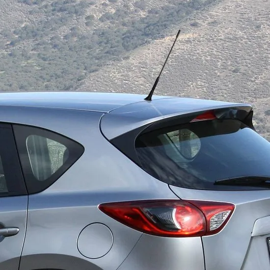 Proplus Antenne 16v 40 Cm Zwart