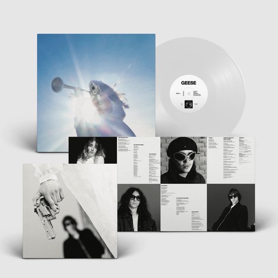 vinyl, plaat, album, grijs-wit, fotografie-collectie