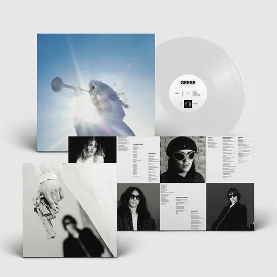 vinyl, plaat, album, grijs-wit, fotografie-collectie