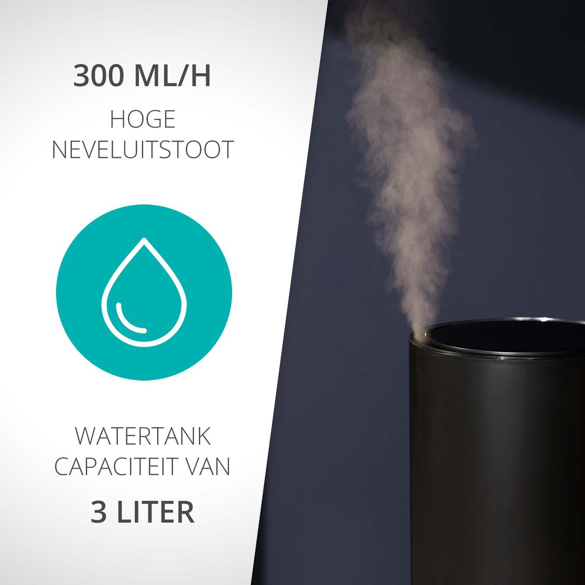 Advertentie, Rook, Poster