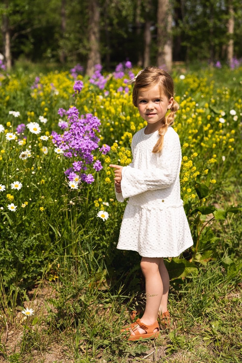 Portret, Kruiden, Paars, Daisy, Gras, Portret, Kruiden, Paars, Daisy, Gras