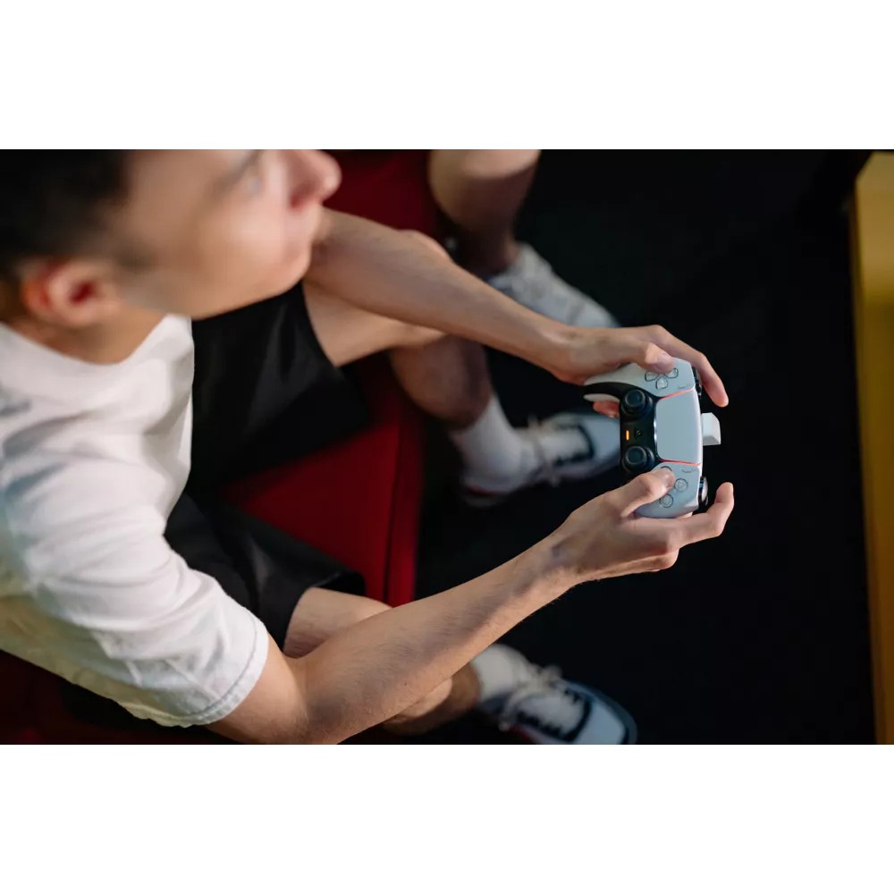 PS5 Dualsense Rechargable Battery