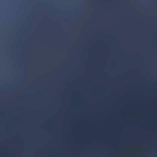 FALKE Cosyshoe Heren Huissokken  - Maat 41-42