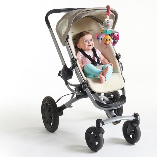 Tiny Love Take Along Muziekmobiel - Princess