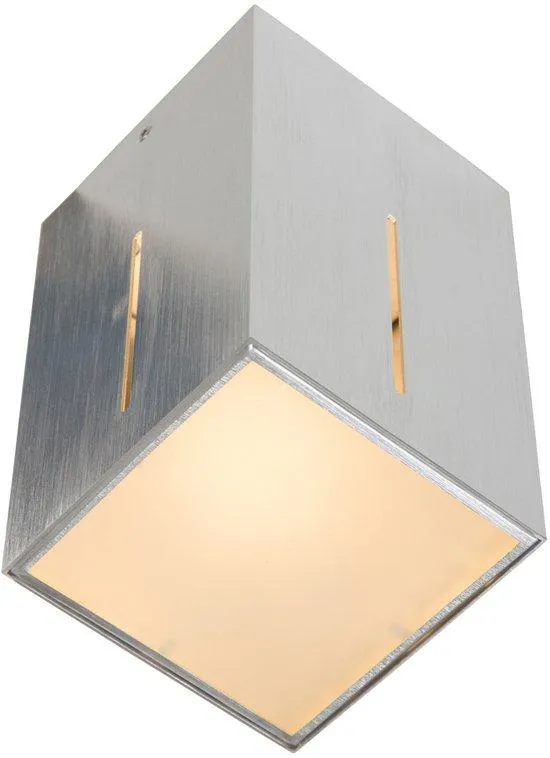 Steinhauer Ikaro - Plafondlamp - Spaarlamp - Staalkleurig -  10 cm