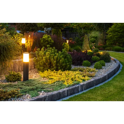 Gras, Tuin, Boom, Achtertuin, Pad