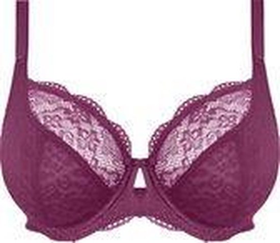 bh, lingerie, bra, lila, lace