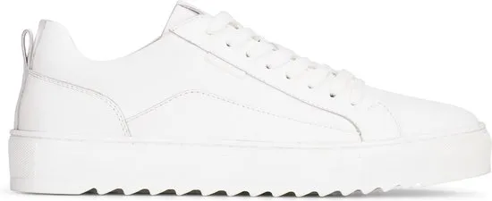 Kleding, Schoeisel, Schoen, Sneaker
