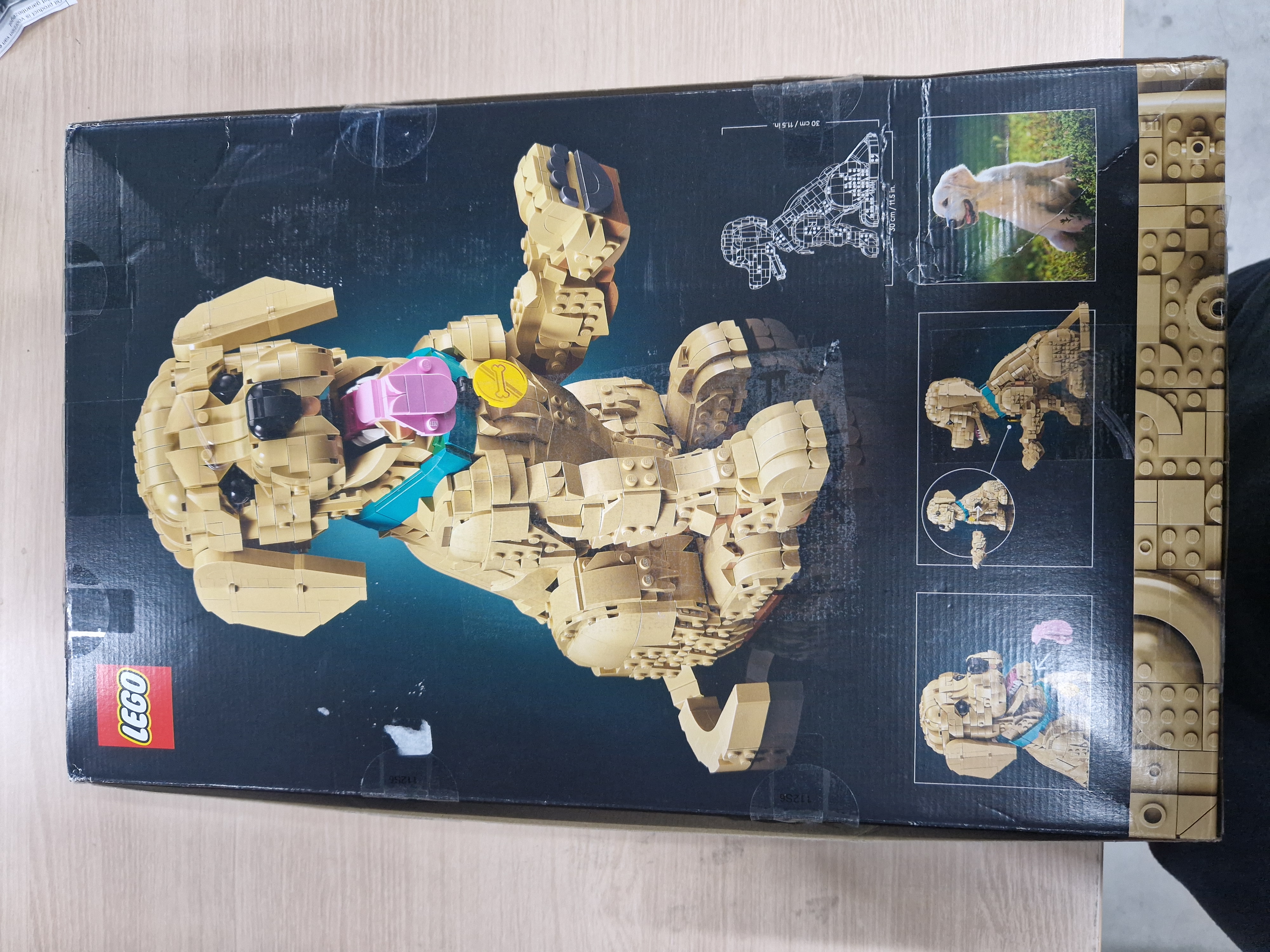 LEGO® Icons Golden Retriever Puppy - Decoratieve Dierenfiguur - Bouwset voor Volwassenen - 11384