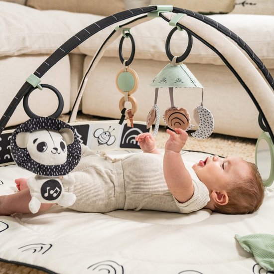 Tiny Love Classic Gymini - 2-in-1 Black & White Décor - Vanaf de geboorte