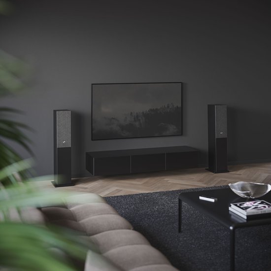 Audio Pro A48 - Smart Multiroom Actieve Vloerstaande Luidsprekers - 2x130W - Zwart - Set van 2