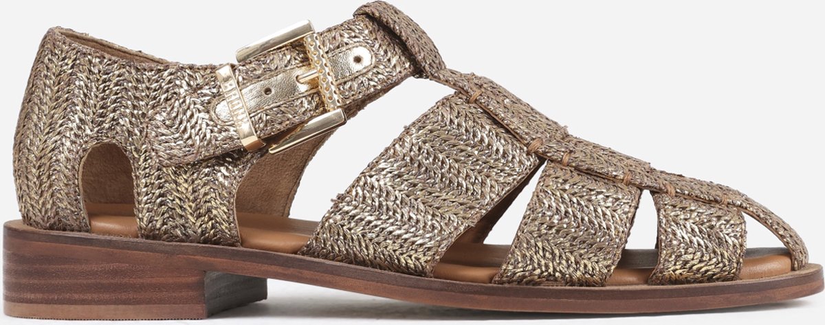 Kleding, Schoeisel, Sandaal, Schoen