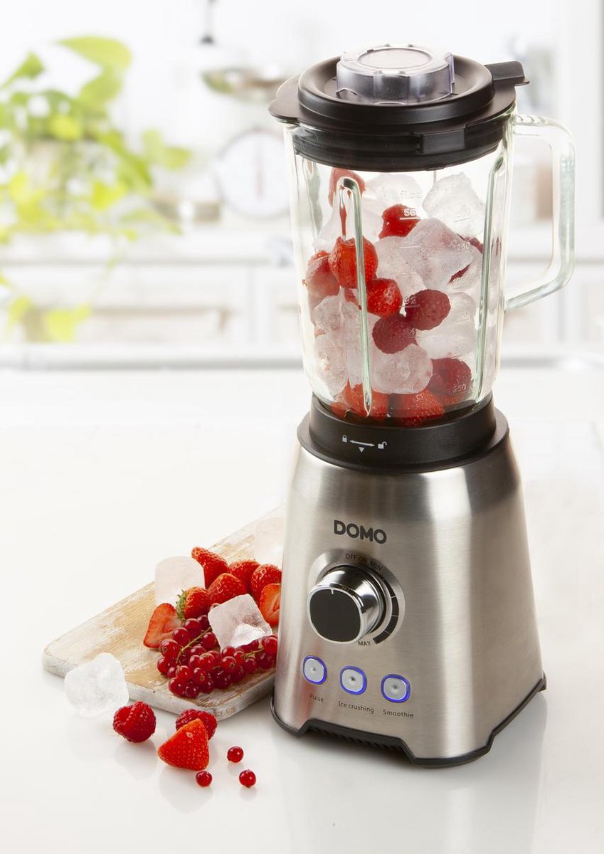 DOMO Blender - W