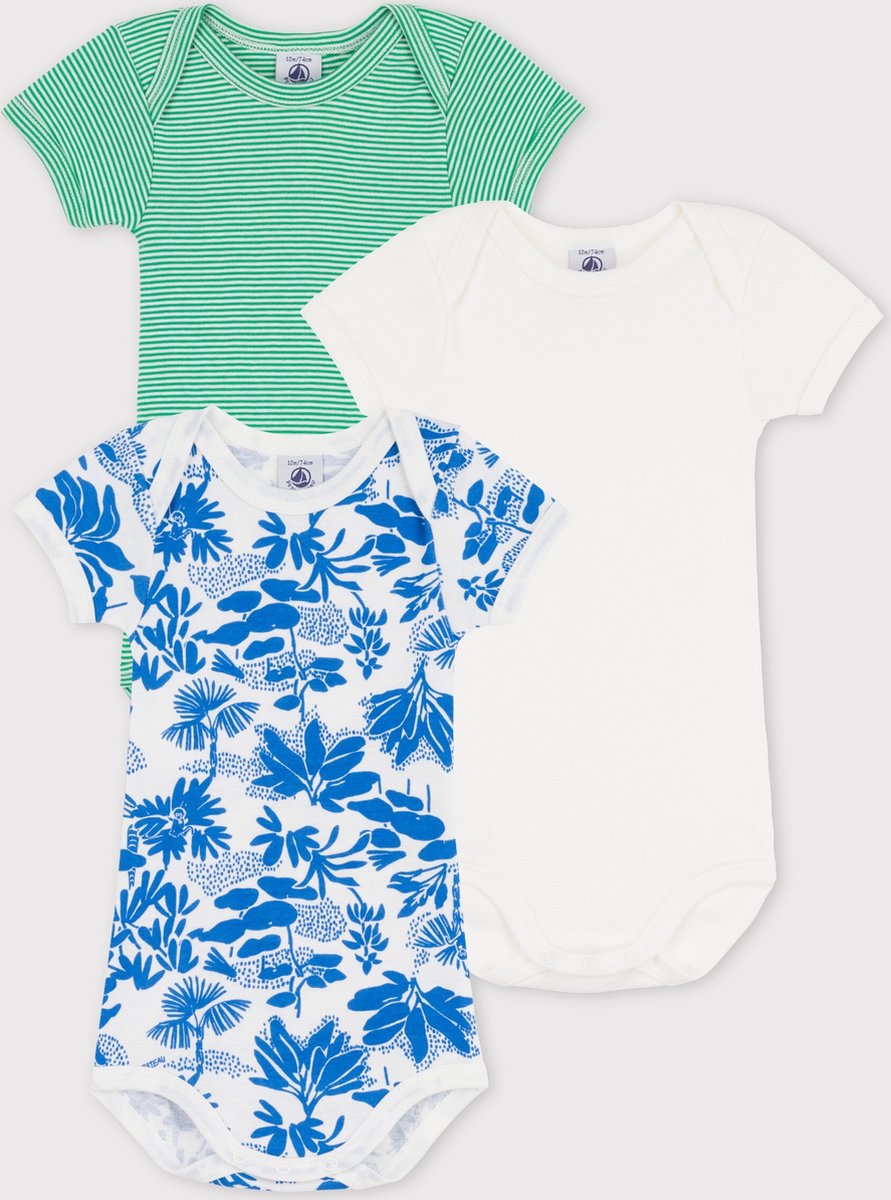 babygrow, onesie, short sleeves, groene strepen, blauw bloemendessin