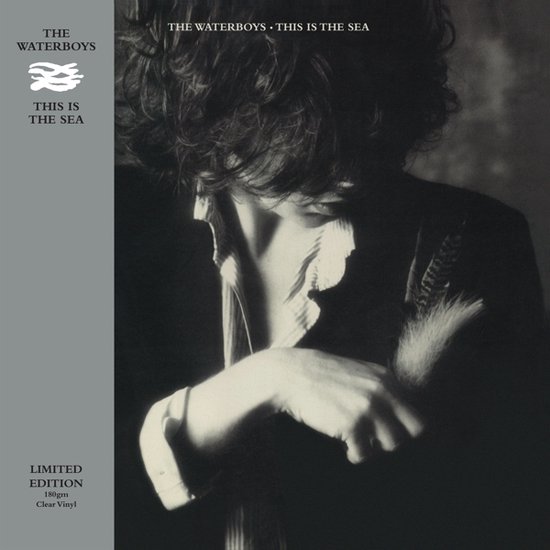Waterboys - This is the Sea (Clear Vinyl)