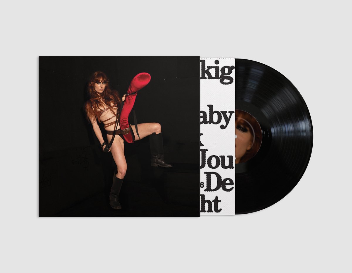 vinyl, record, black vinyl, cover art, photo