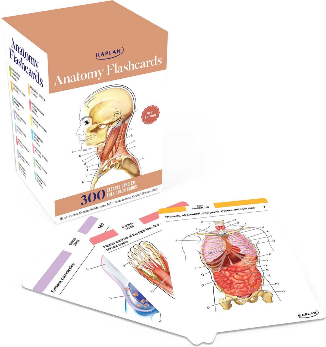 Persoon, Bestek, Gezicht, Kop