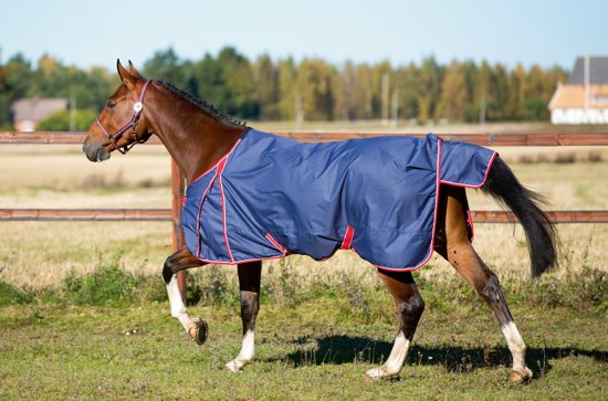 Kerbl Paardendeken RugBe Protect - marine/rood - 145 cm