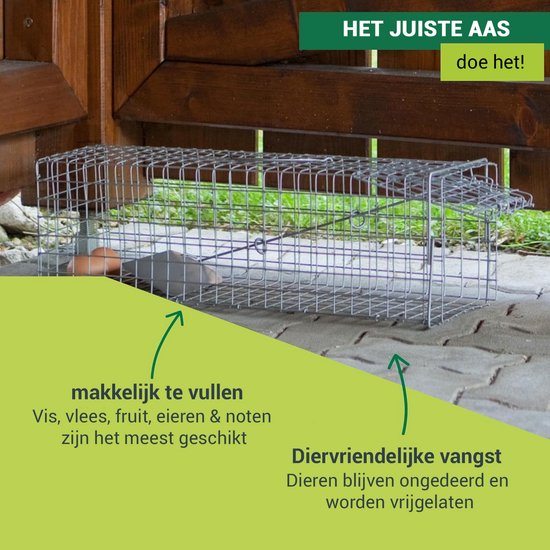 Hol, Binnen, Hondenhok, Kennel