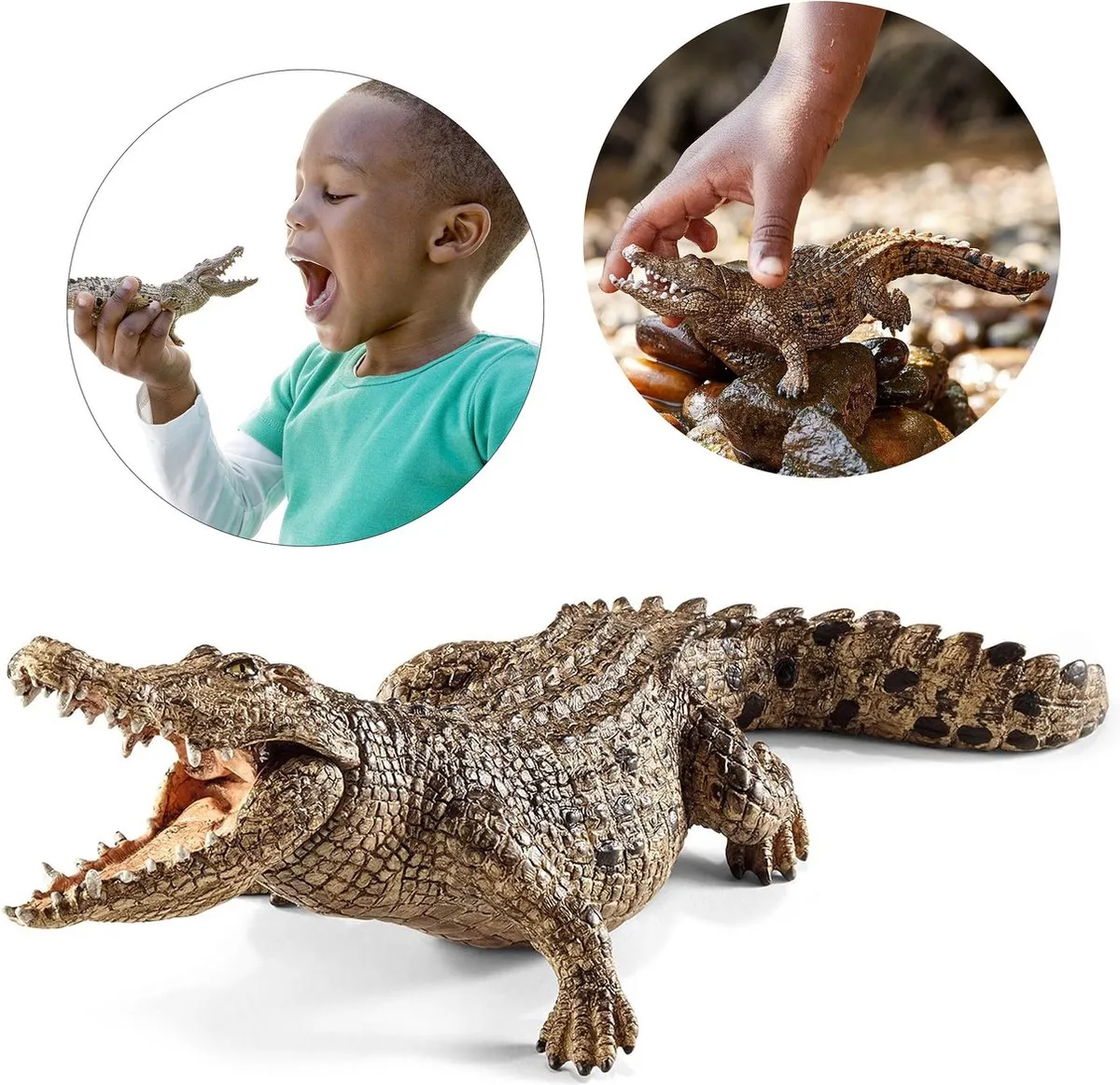 Persoon, Dier, Hagedis, Reptiel
