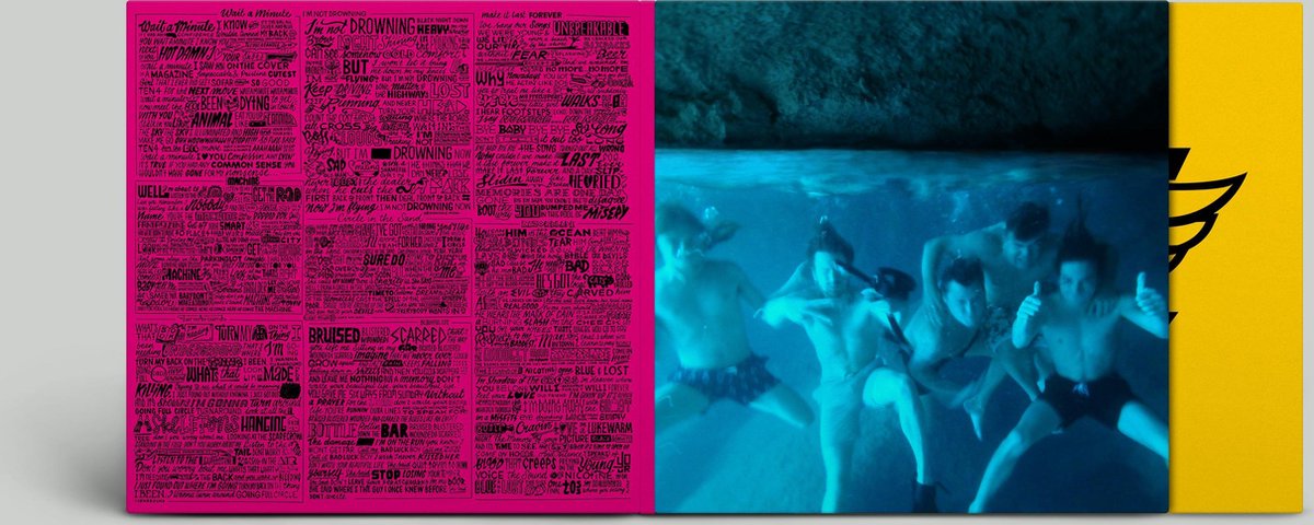 Barry Hay'S Flying V Formation (LP) (gesigneerde versie)