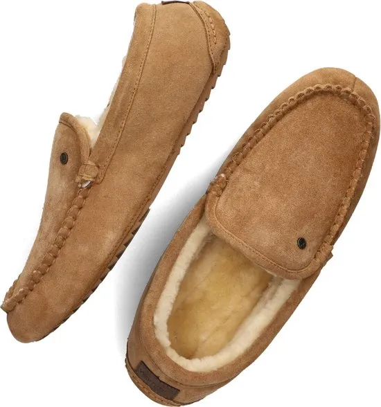 Kleding, Schoeisel, Schoen, Suede