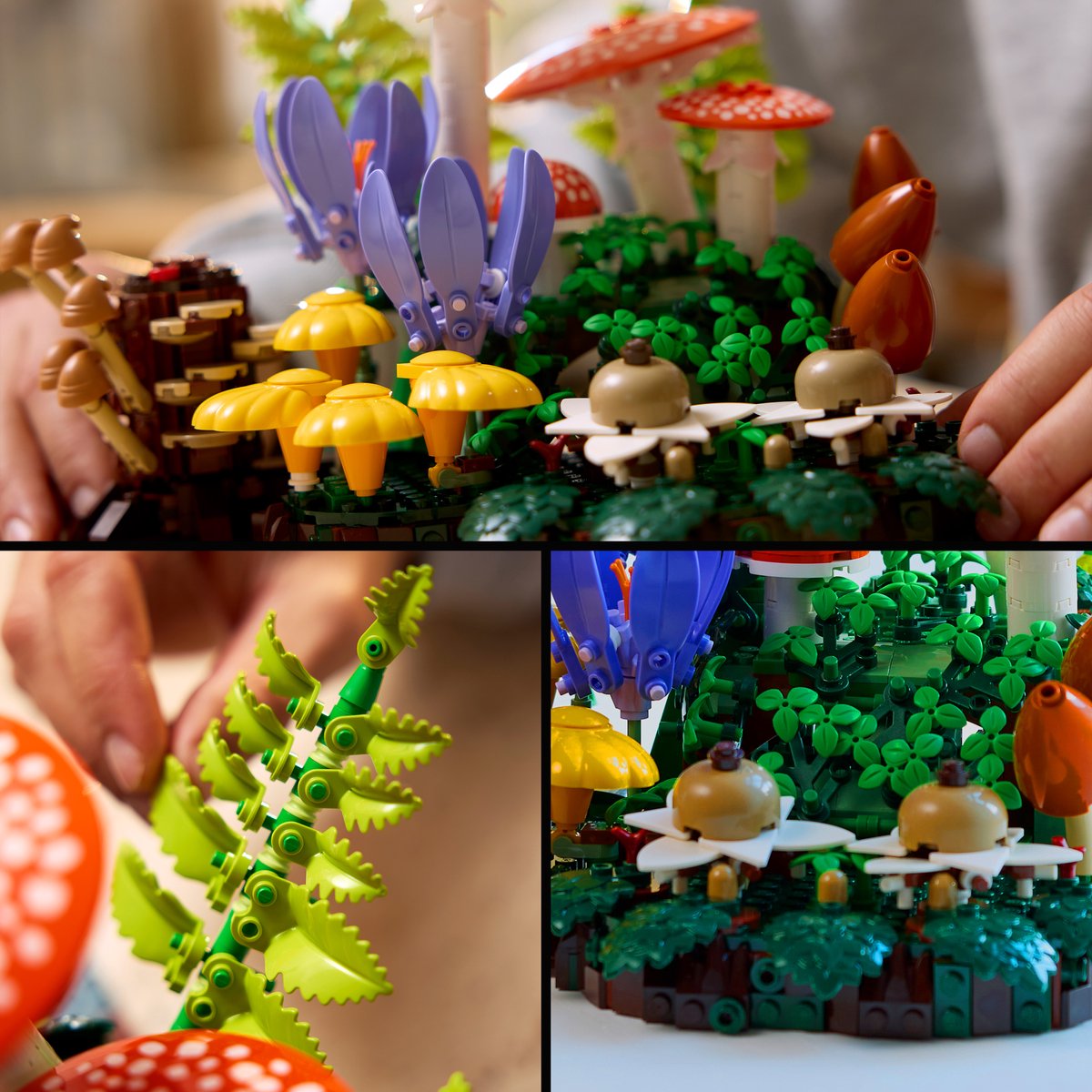 LEGO® Botanicals Bospaddenstoelen - 11505