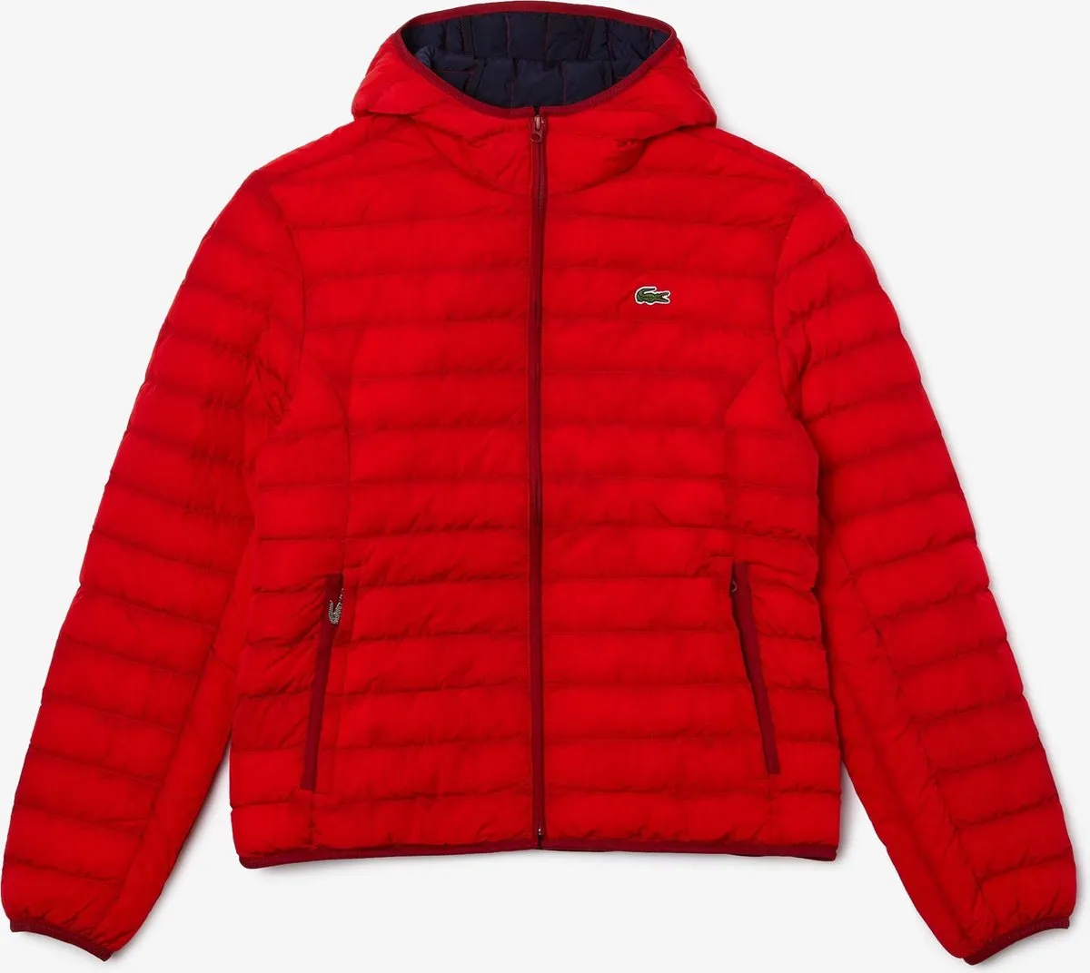 Kleding, Jas, Capuchon, Sweatshirt