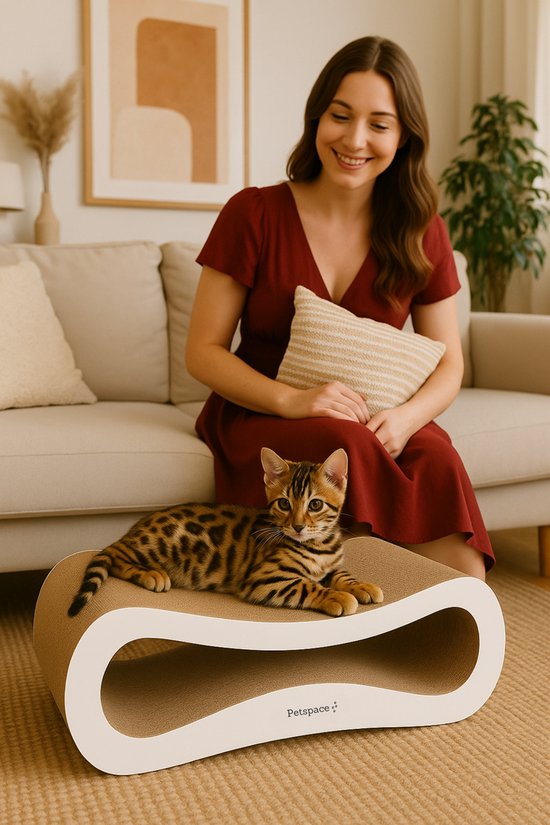 Kussen, Woondecoratie, Kat, Zoogdier, Huisdier